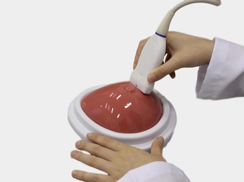 GPHANTOM Breast Biopsy