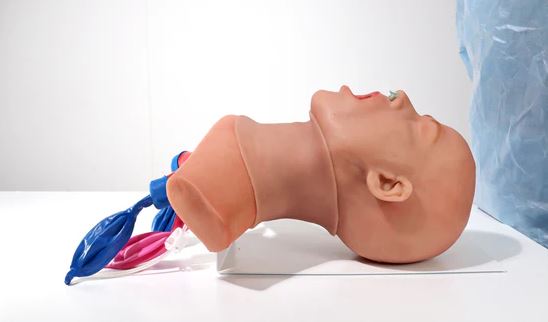 MEDICAL-X Airway Management Trainer