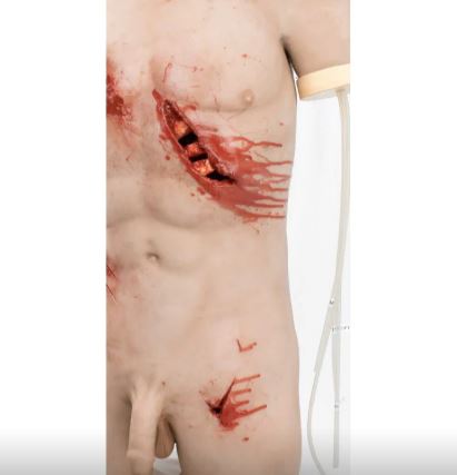 MEDICAL-X Trauma Trainer Torso - Image 5