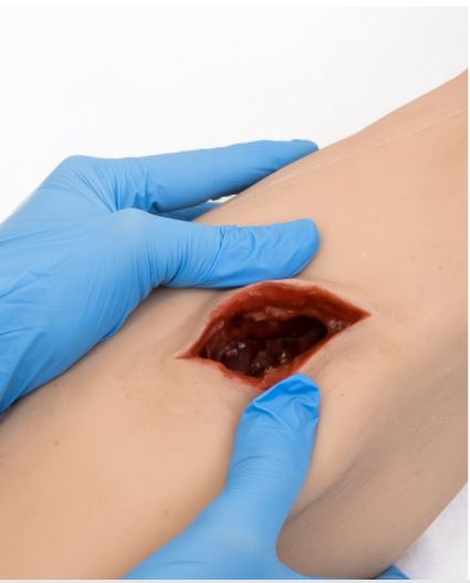 MEDICAL-X Wound Packing Leg Task Trainer